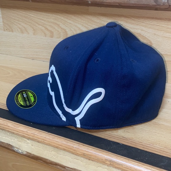 Pume Fitted Hat - Picture 2 of 4